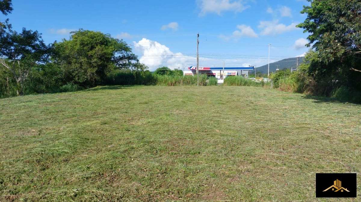 TERRENO DE  FRENTE  PARA A SC 401 , PROXIMO AO TREVO DE  INGLESES. COM VIABILIDADE PARA CONSTRUIR - Henrique Cesar Imóveis