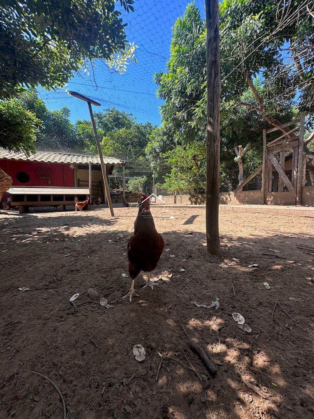 Chácara completa, conforto e lazer em meio à natureza.