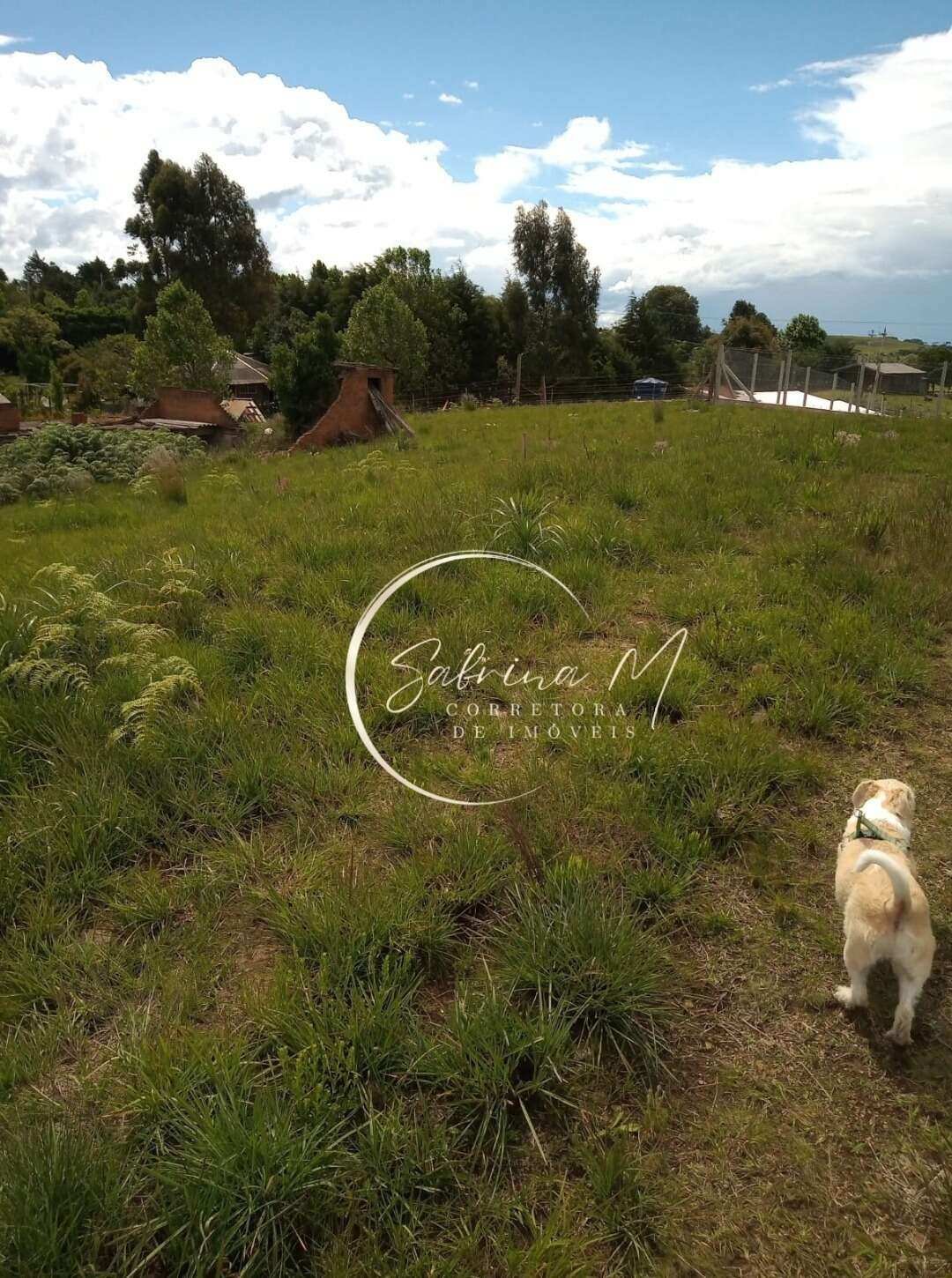  - Terreno no Condomínio Simo