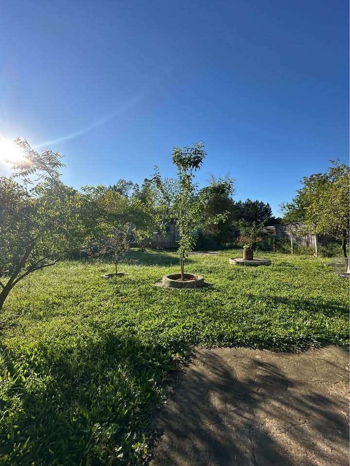 Casa, 2 quartos, 80 m² - Foto 4