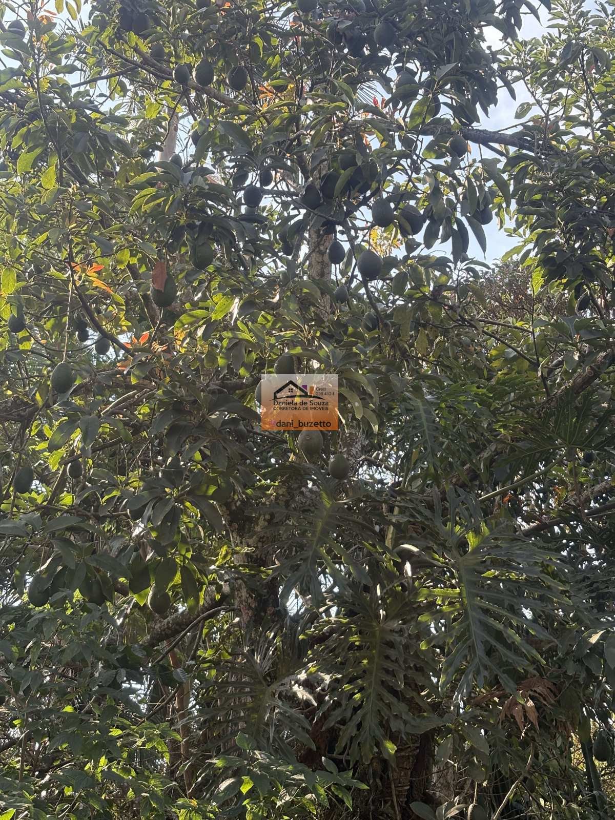 Chácara à venda em Várzea Paulista, São Guido, com 2 quartos, 150m² - Daniela deSouza