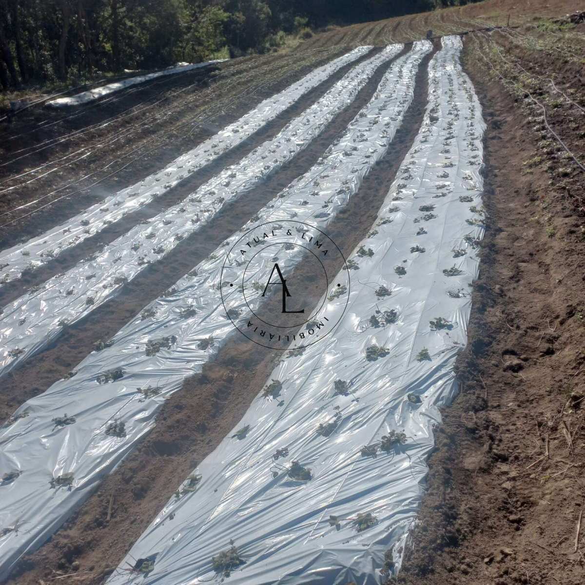 Fazenda/Sítios/Chácaras de 34m² | Eu Corretor
