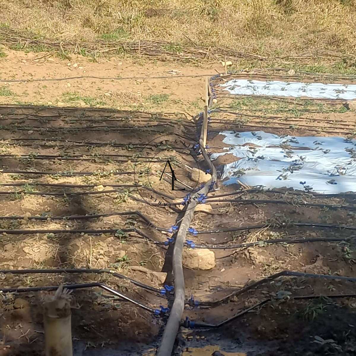 Fazenda/Sítios/Chácaras de 34m² | Eu Corretor