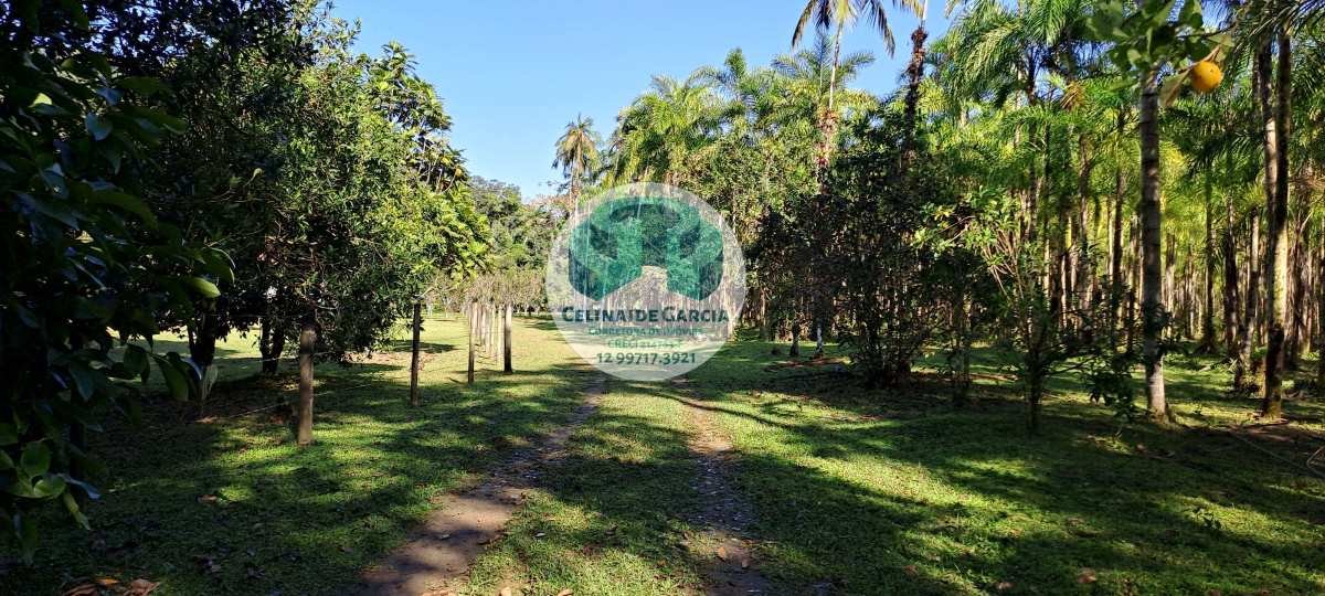 FAZENDA À VENDA - CRÉDITO DE CARBONO