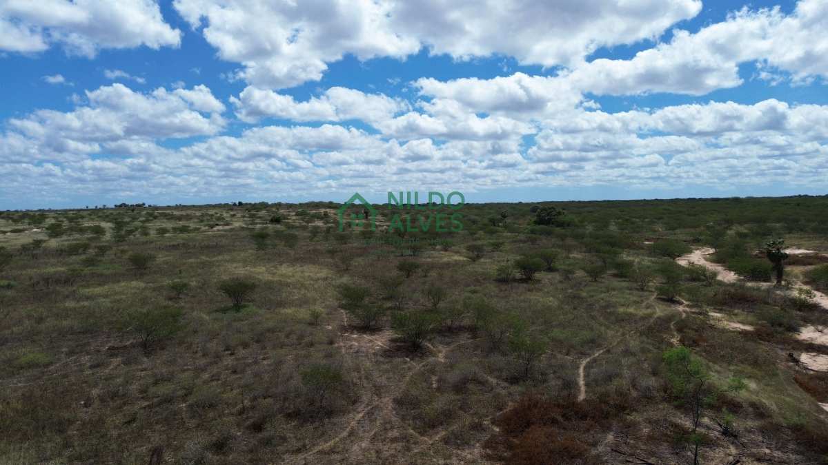 Terreno à venda - Foto 6