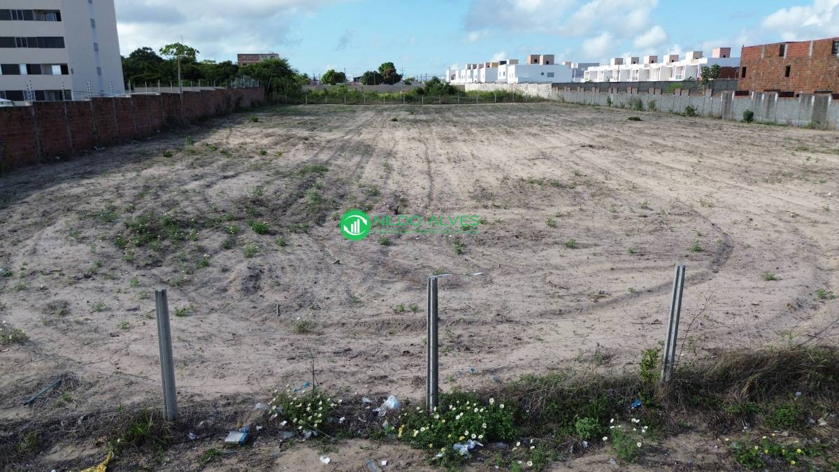 Terreno à venda com 1 quarto, 5000m² - Foto 3