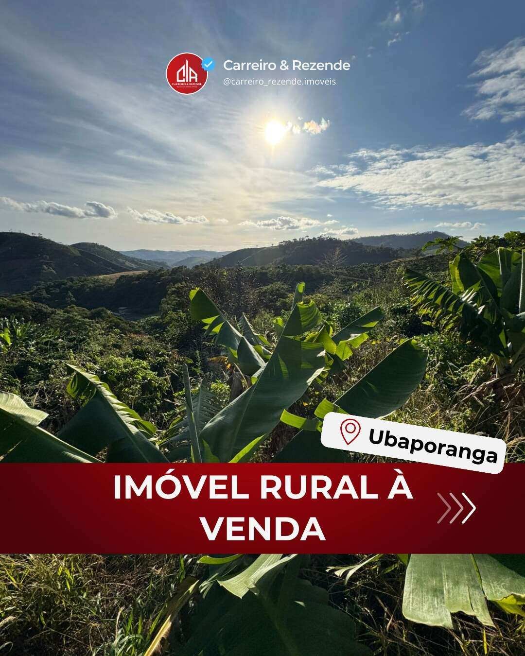 Sítio à venda Córrego do Barracão, 3,5Alqueires Mineiro