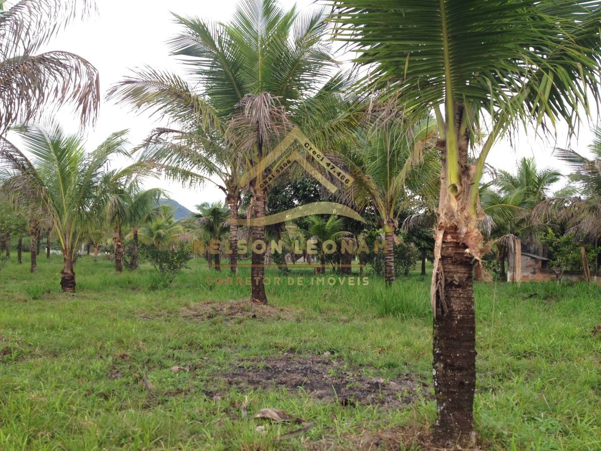 Terreno à venda, 10150m² - Foto 6