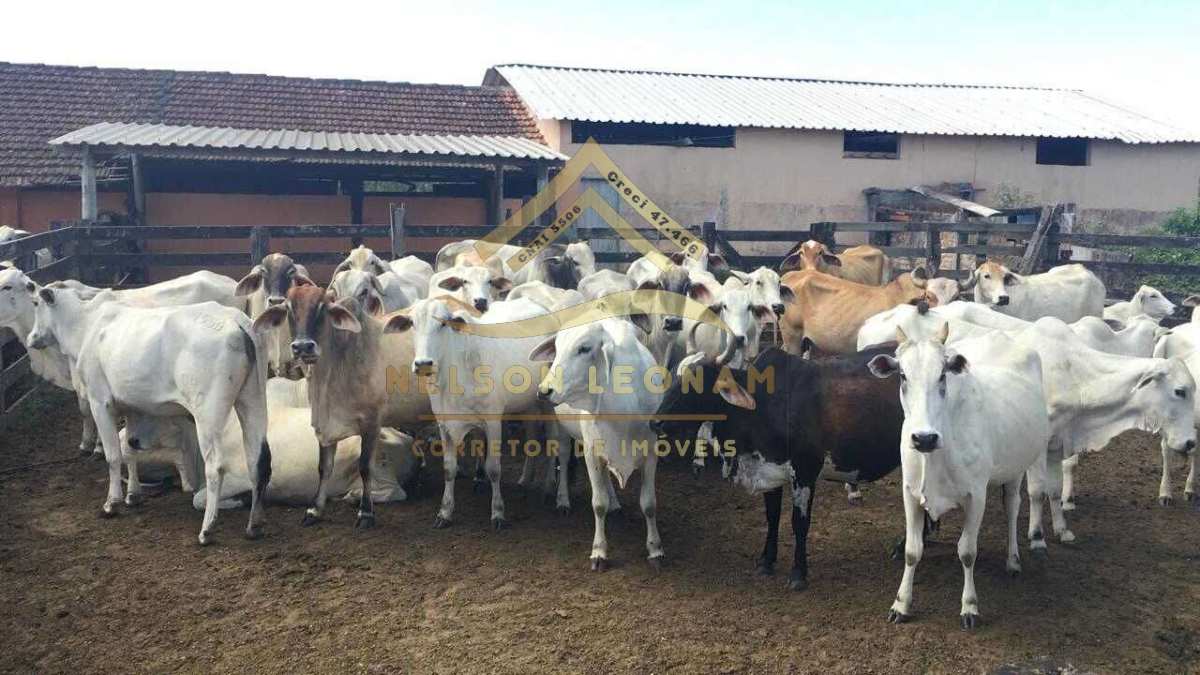 Fazenda/Sítios/Chácaras no bairro Solar (São Vicente), em Araruama | Eu Corretor