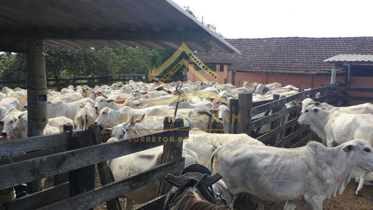 Fazenda/Sítios/Chácaras no bairro Solar (São Vicente), em Araruama | Eu Corretor