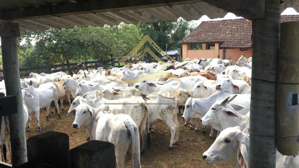 Fazenda/Sítios/Chácaras no bairro Solar (São Vicente), em Araruama | Eu Corretor