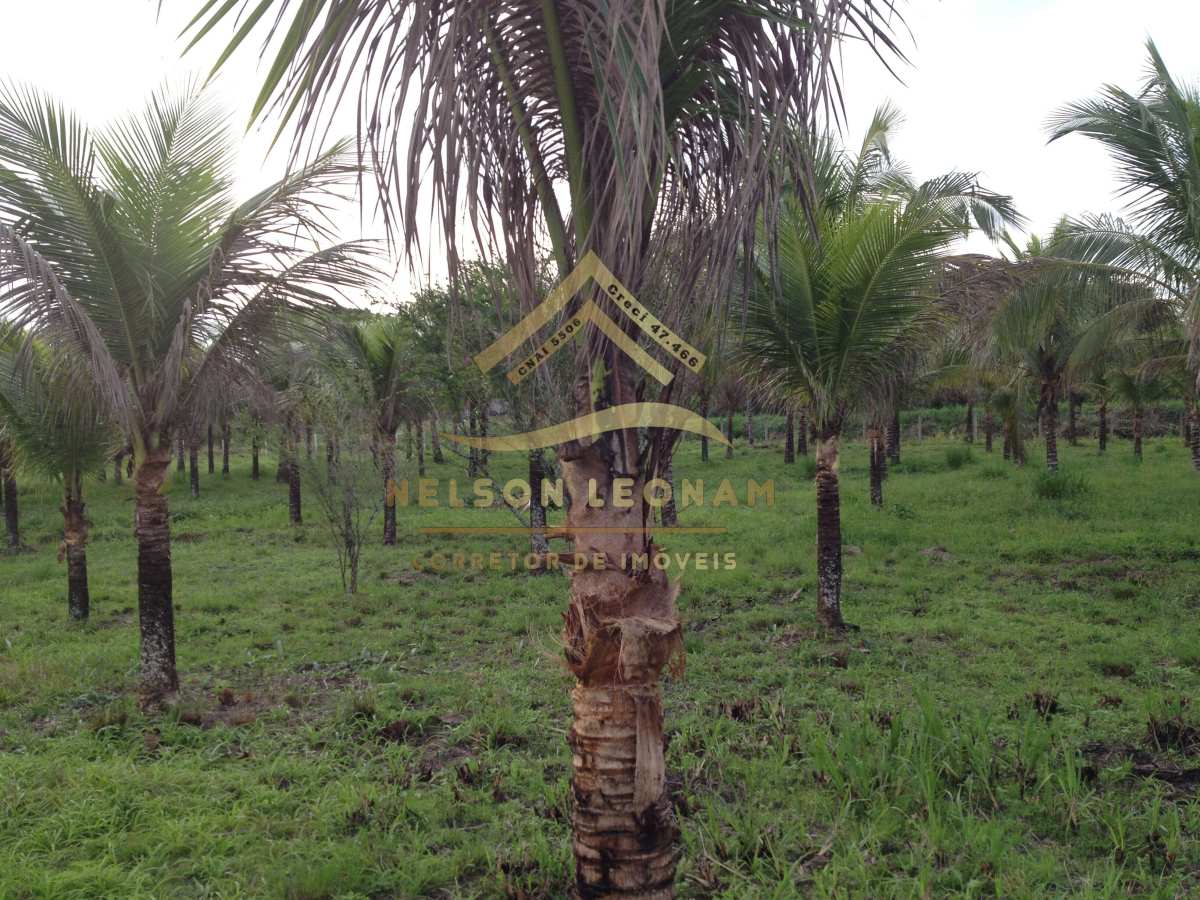 Fazenda/Sítios/Chácaras de 5055m² no bairro Granjas Mirassol (Pachecos), em Itaboraí | Eu Corretor