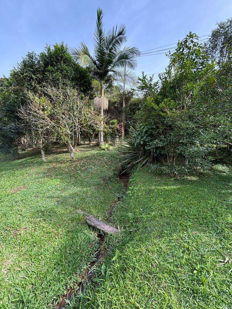 Chácara com mina d’água - Estani Imóveis