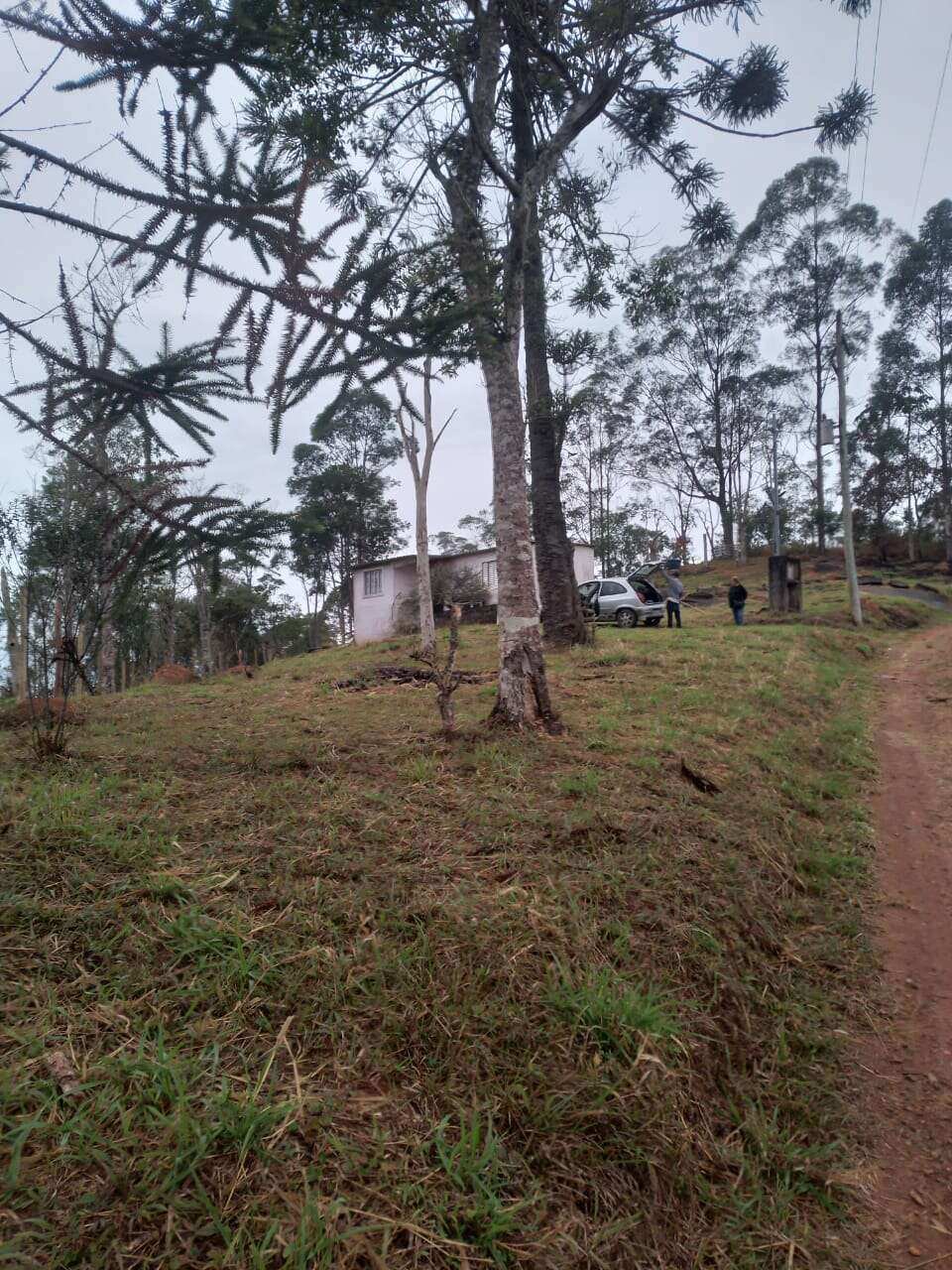 Chacara de 3 mil metros - Estani Imóveis