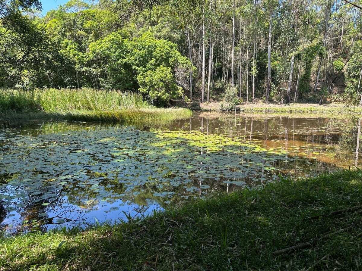 Linda chácara com lago - Estani Imóveis