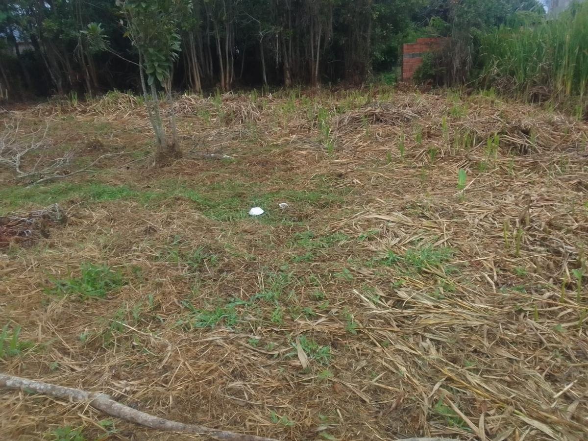 VENDO UM TERRENO PRONTO PRA CONSTRUIR - Estani Imóveis