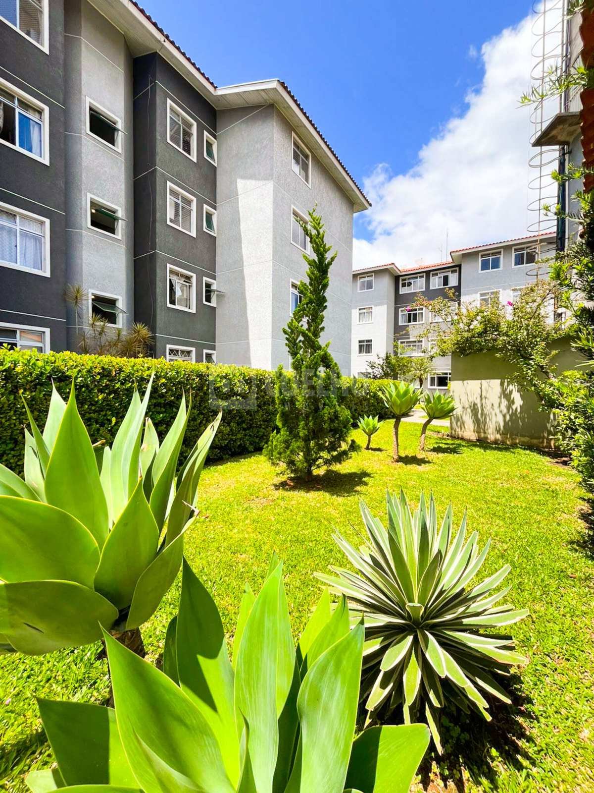  - Apartamento moderno e aconchegante no Condomínio Ouro Verde 1, São José dos Pinhais