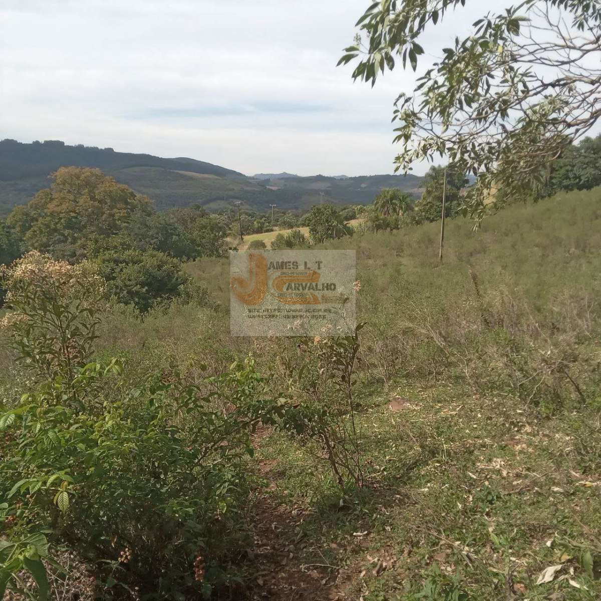 Terreno à venda - Foto 38