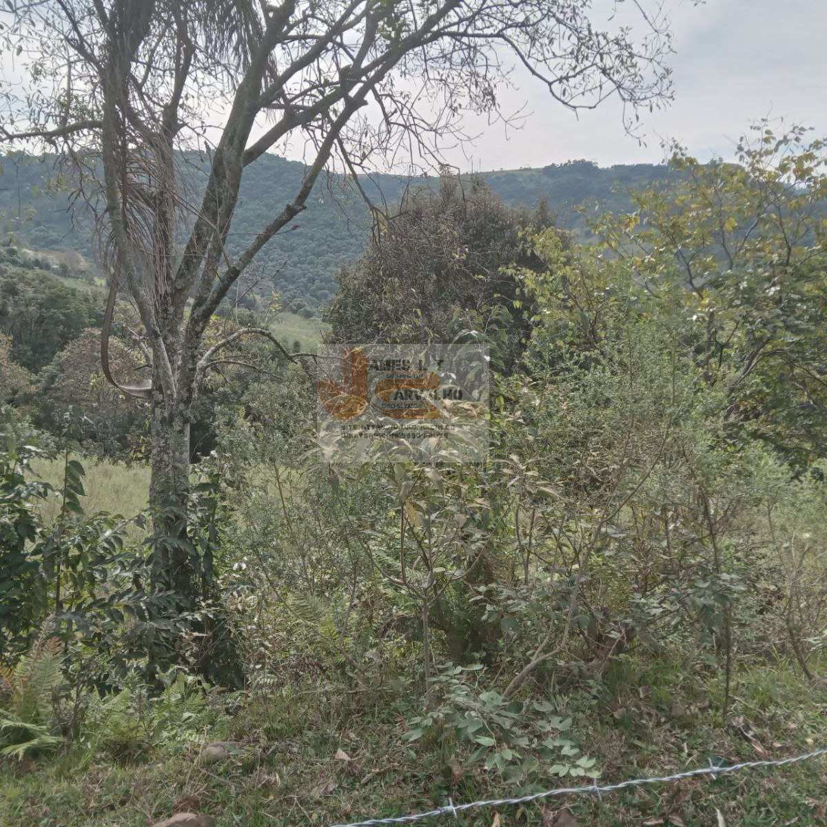 Terreno à venda - Foto 13