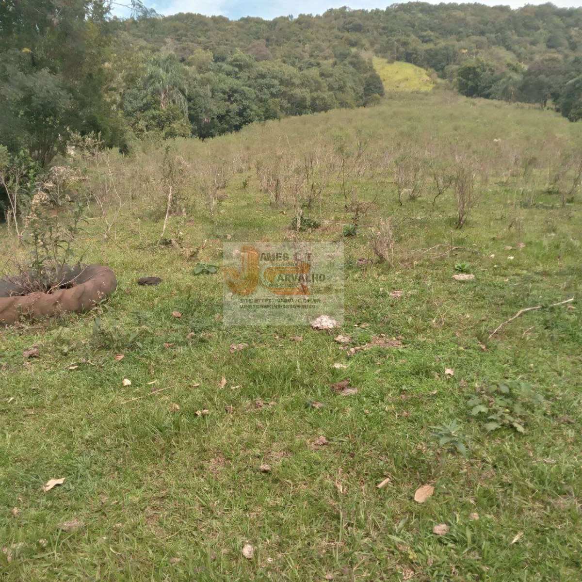 Terreno à venda - Foto 49
