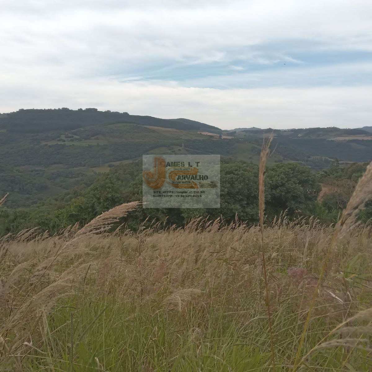 Terreno à venda - Foto 2