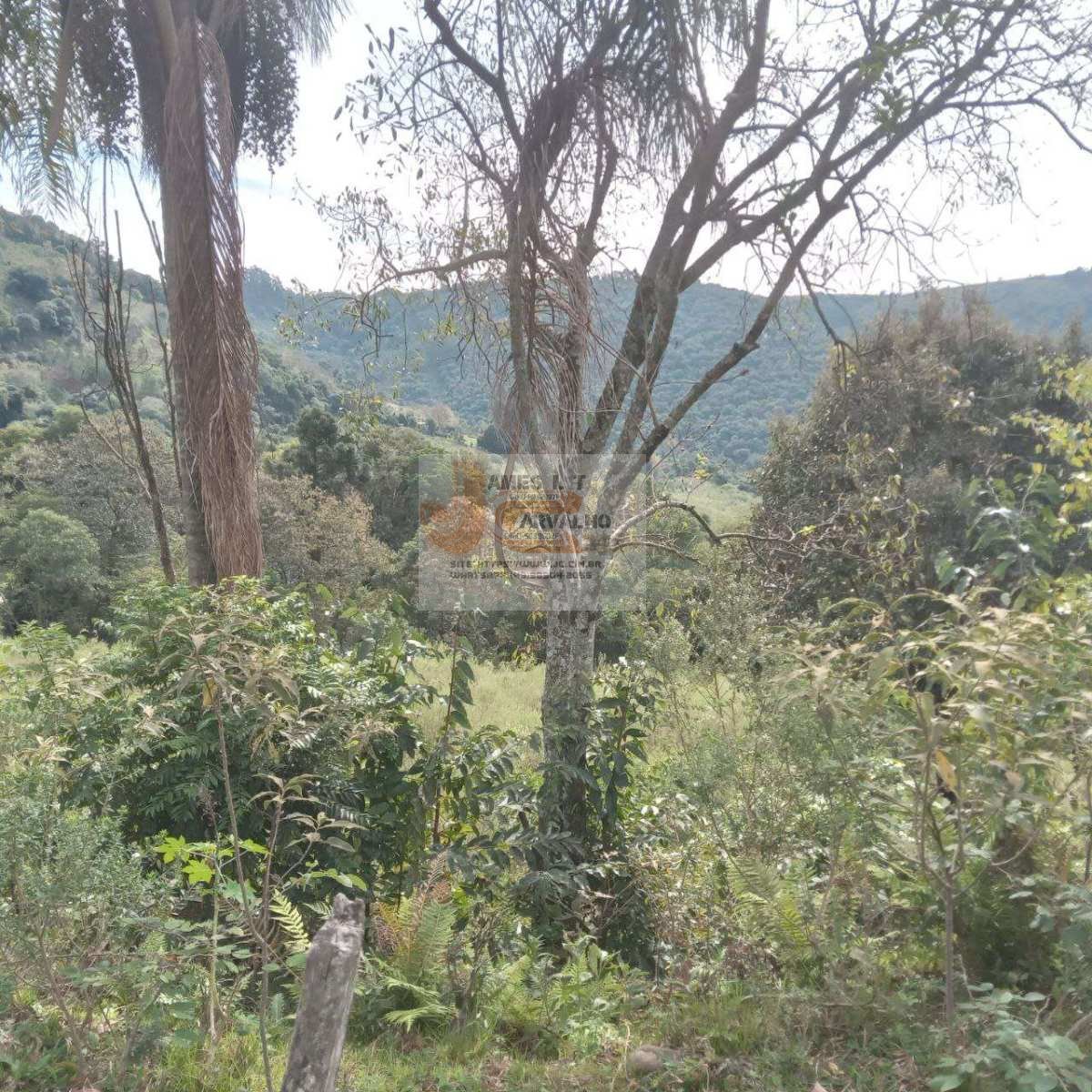 Terreno à venda - Foto 14