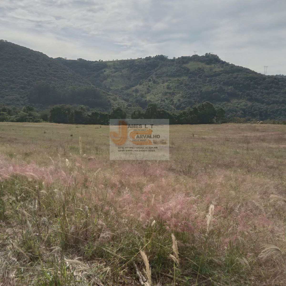 Terreno à venda - Foto 5