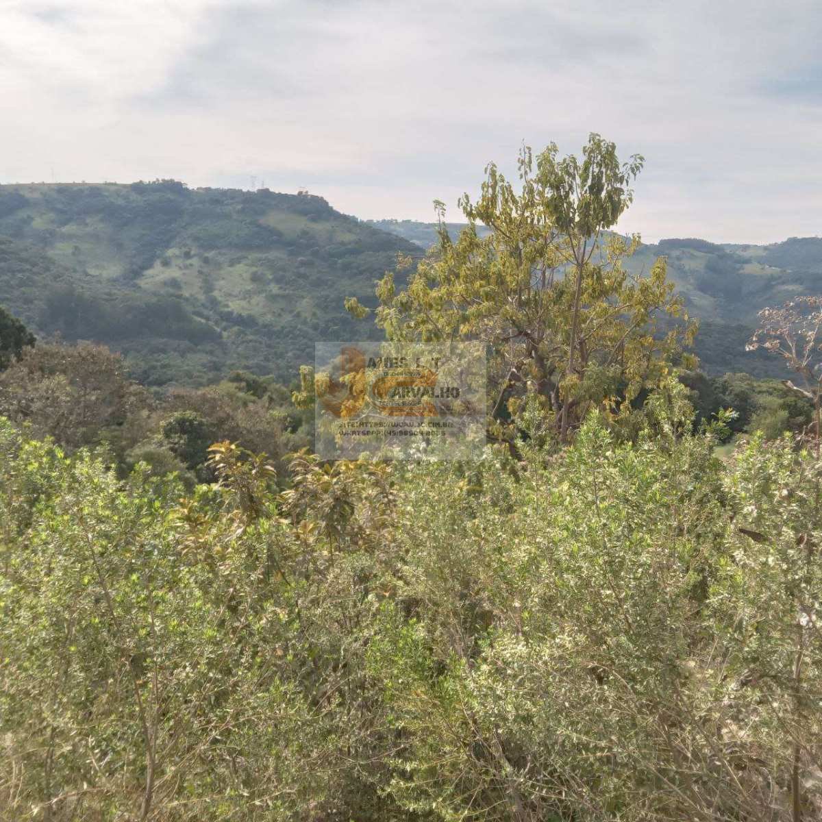 Terreno à venda - Foto 15