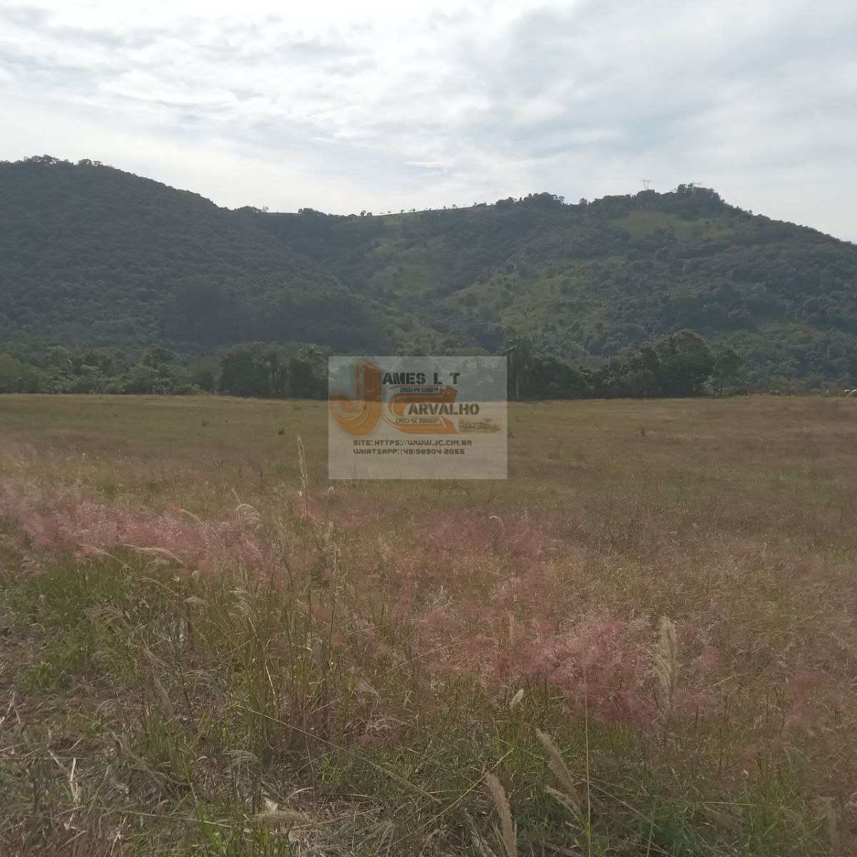 Terreno à venda - Foto 32