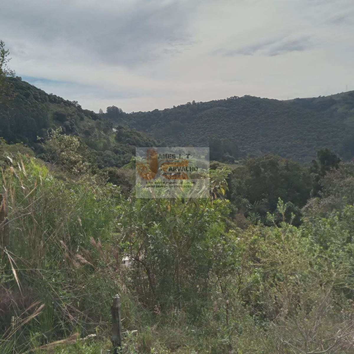 Terreno à venda - Foto 17