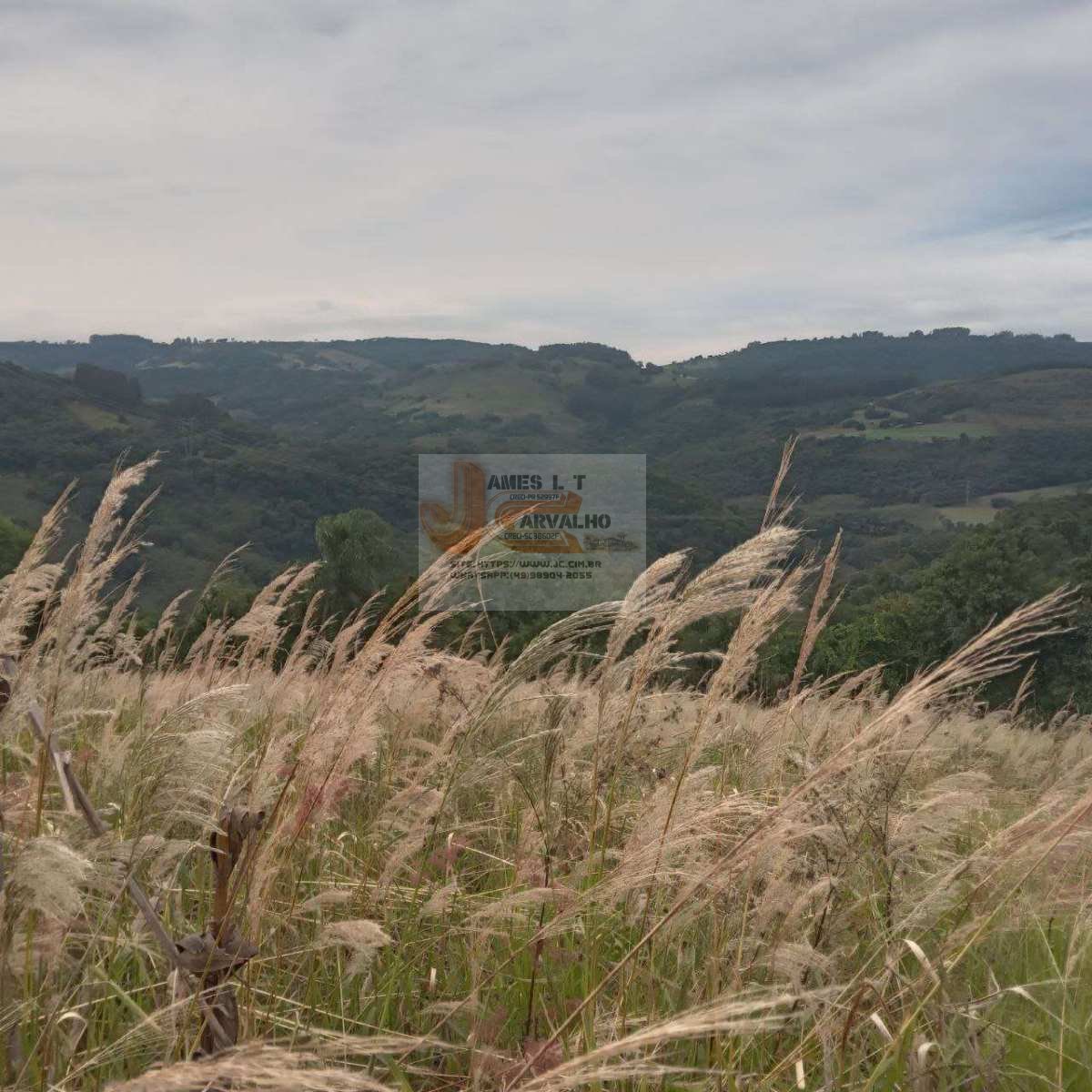 Terreno à venda - Foto 3