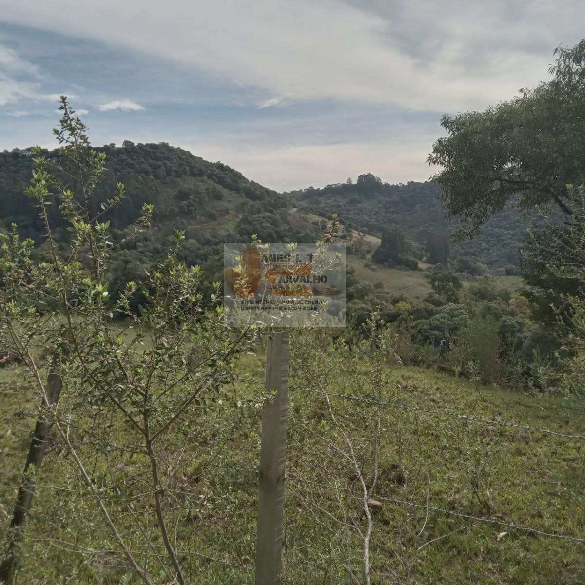 Terreno à venda - Foto 4