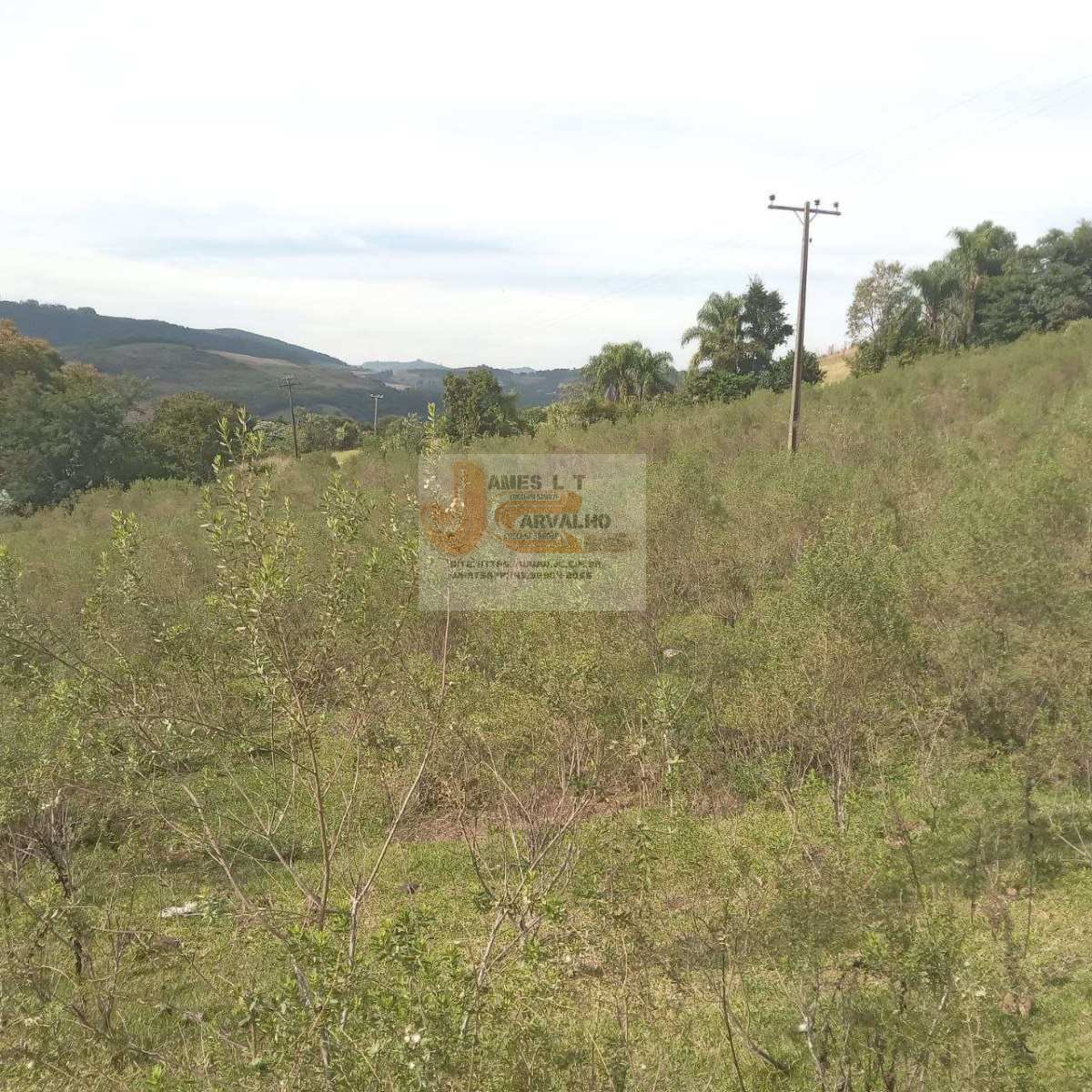 Terreno à venda - Foto 41