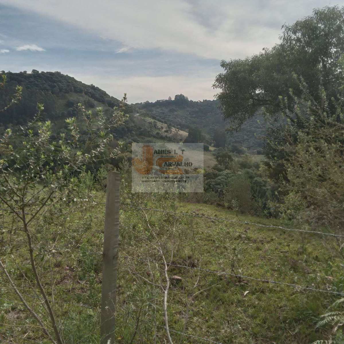 Terreno à venda - Foto 6