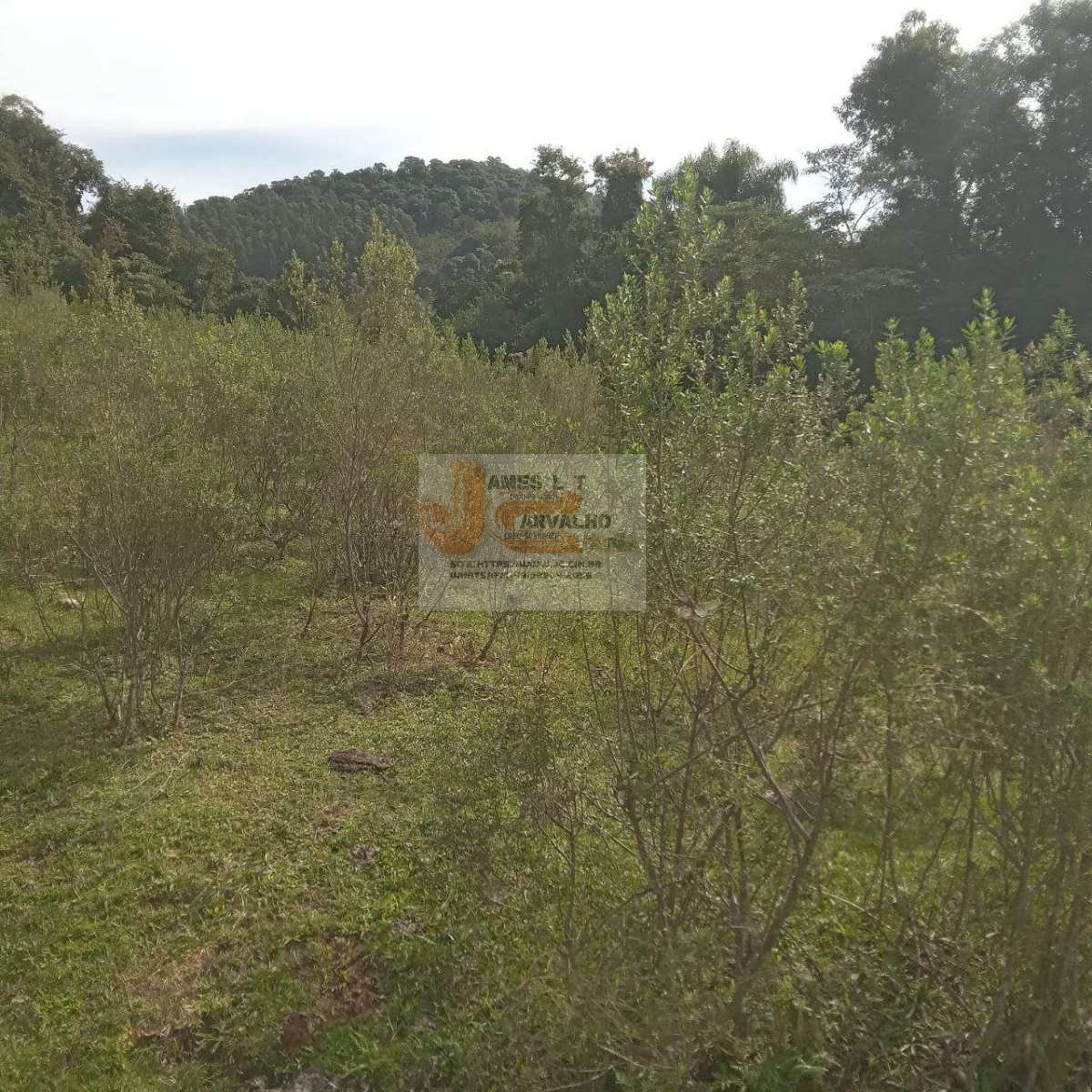 Terreno à venda - Foto 42
