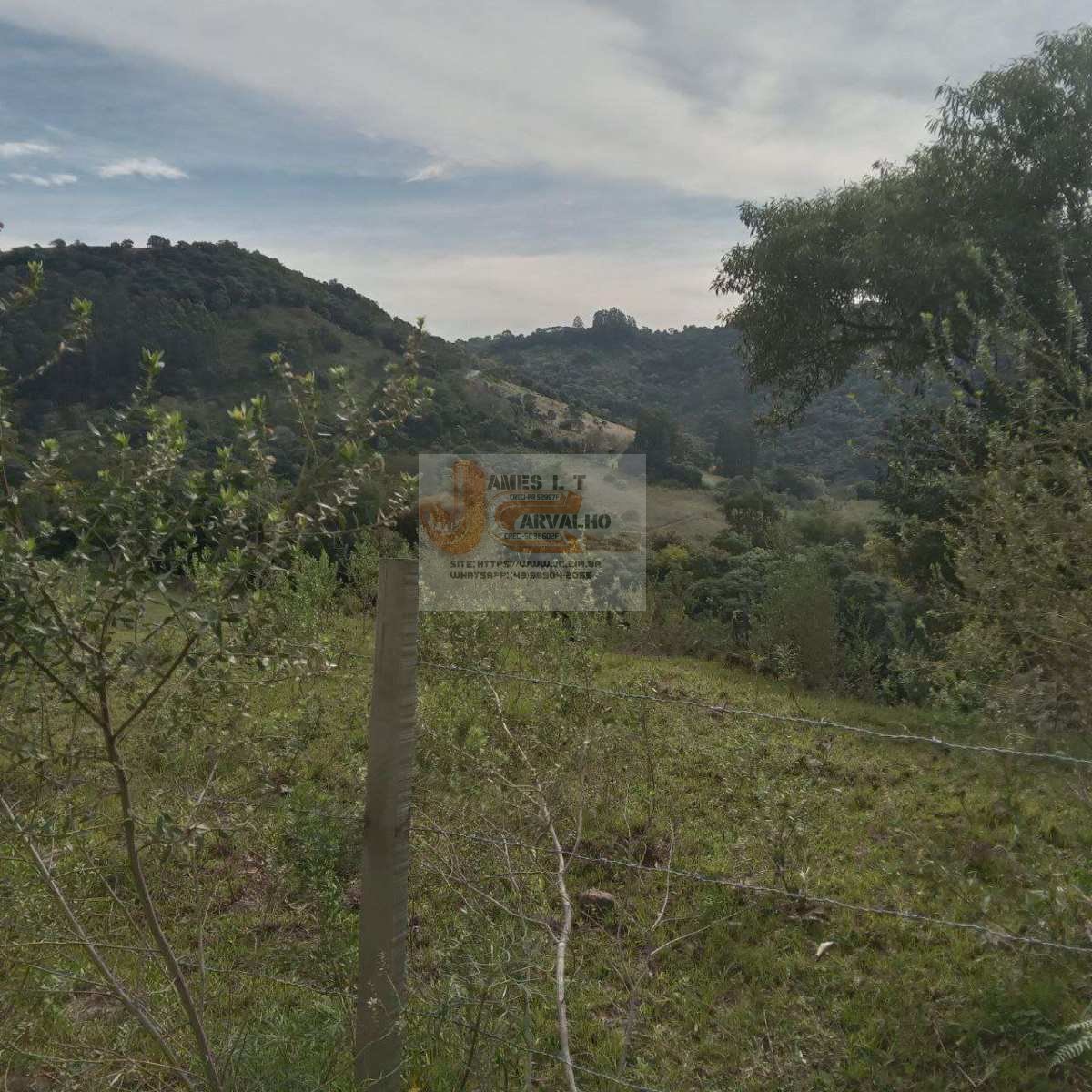 Terreno à venda - Foto 7