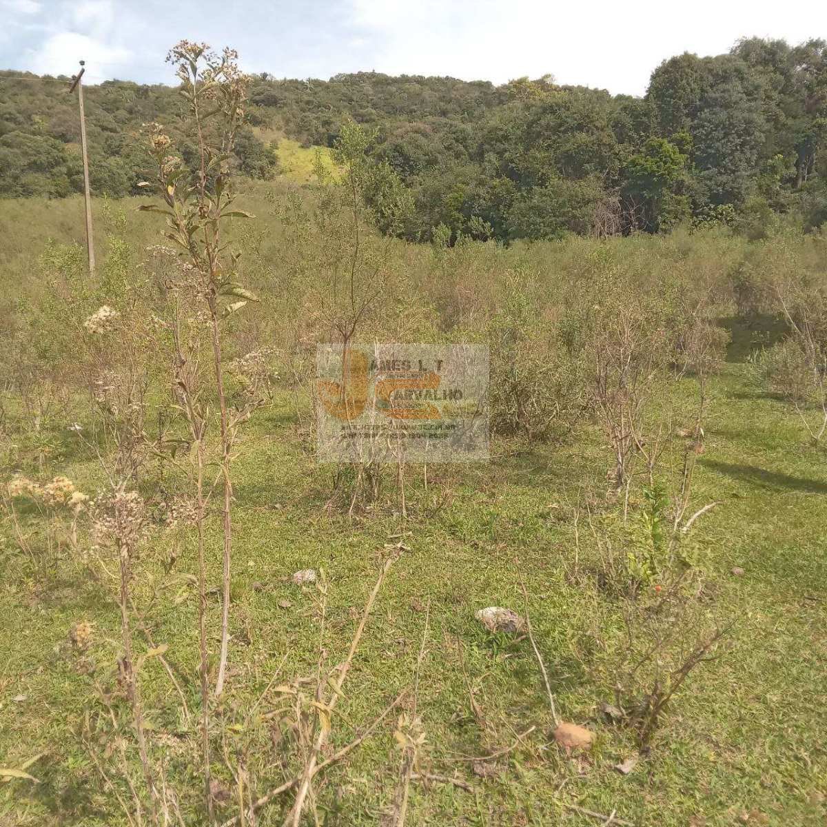 Terreno à venda - Foto 43