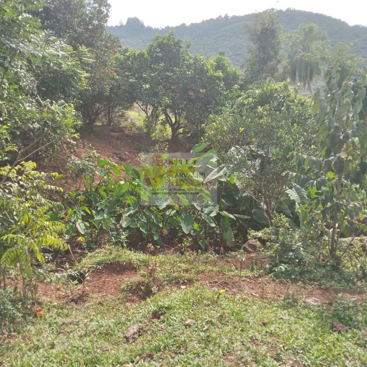 Terreno à venda - Foto 44
