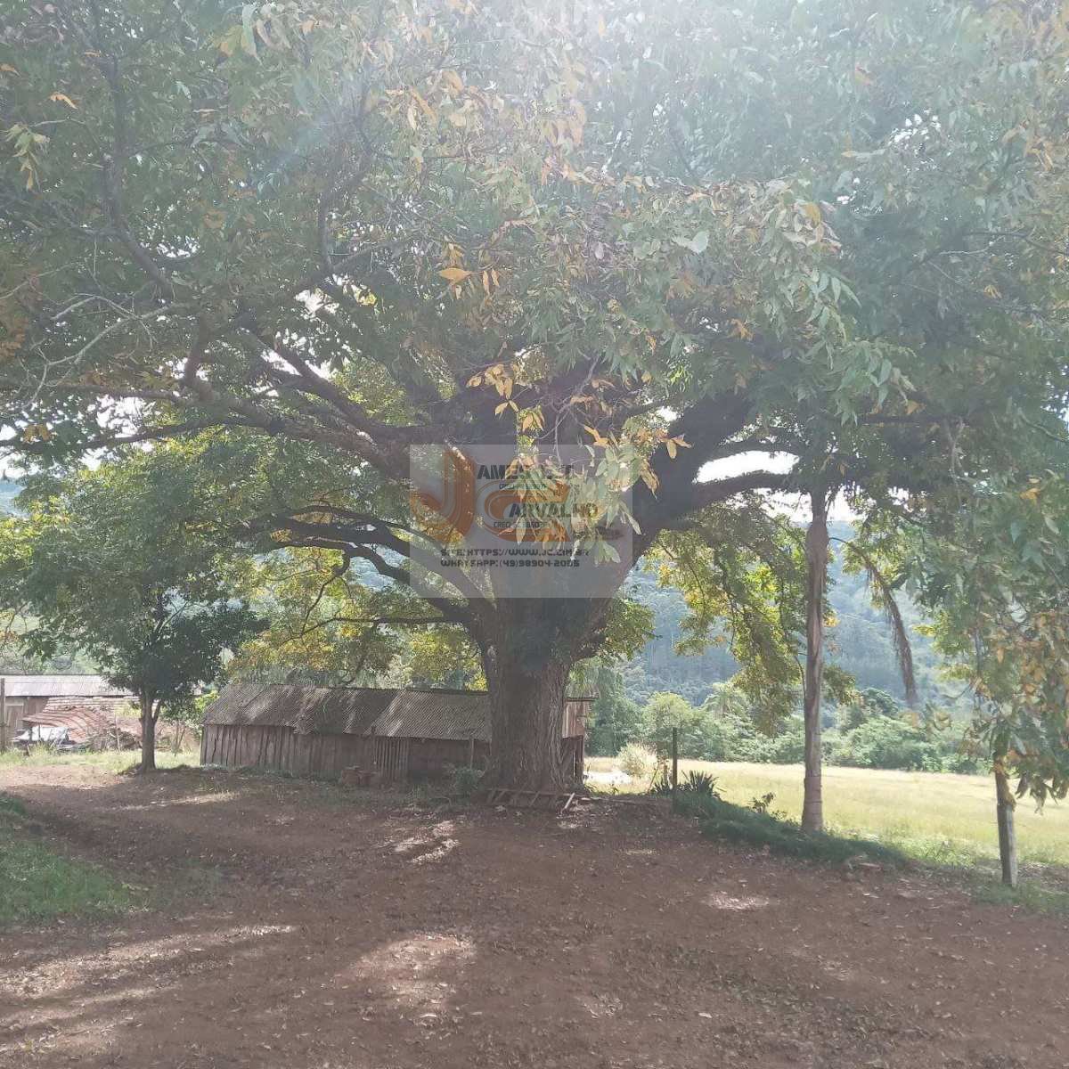 Terreno à venda - Foto 27