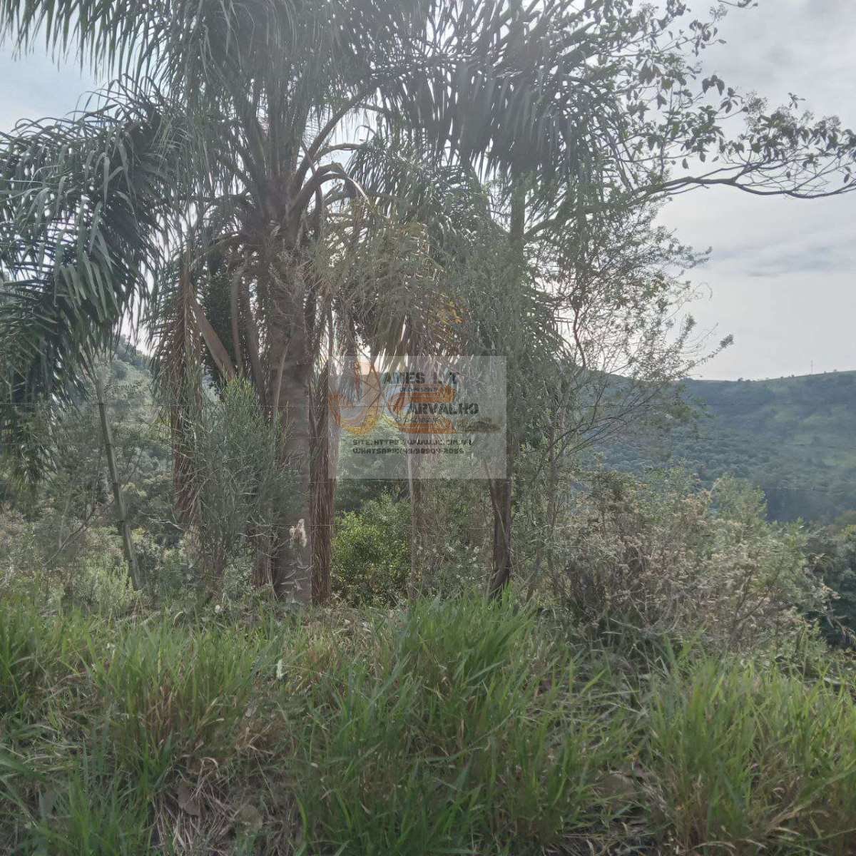 Terreno à venda - Foto 10