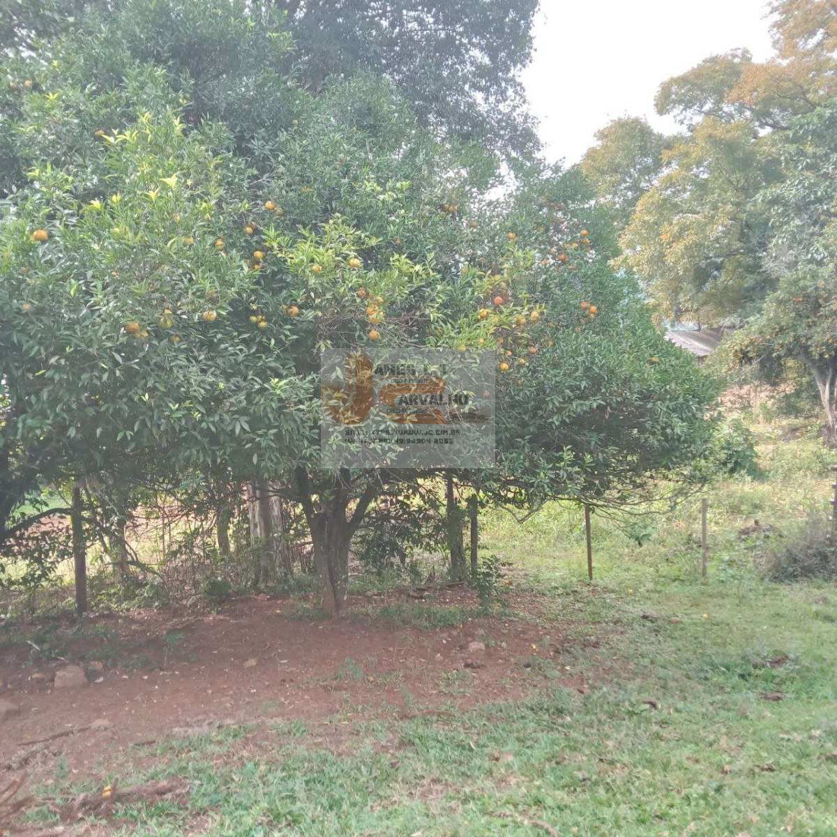 Terreno à venda - Foto 46