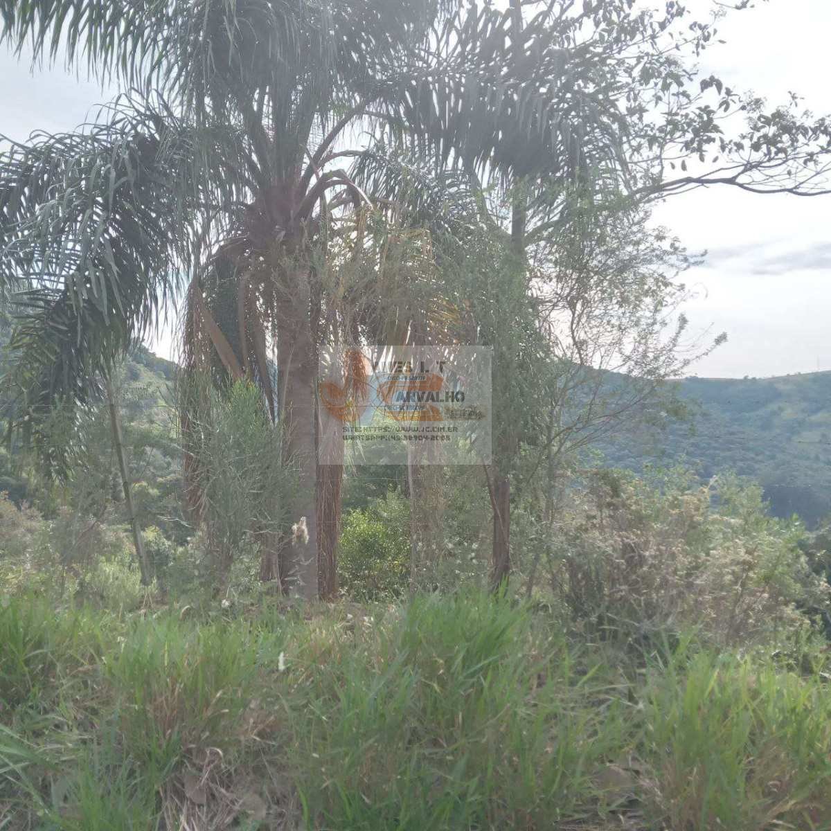Terreno à venda - Foto 11