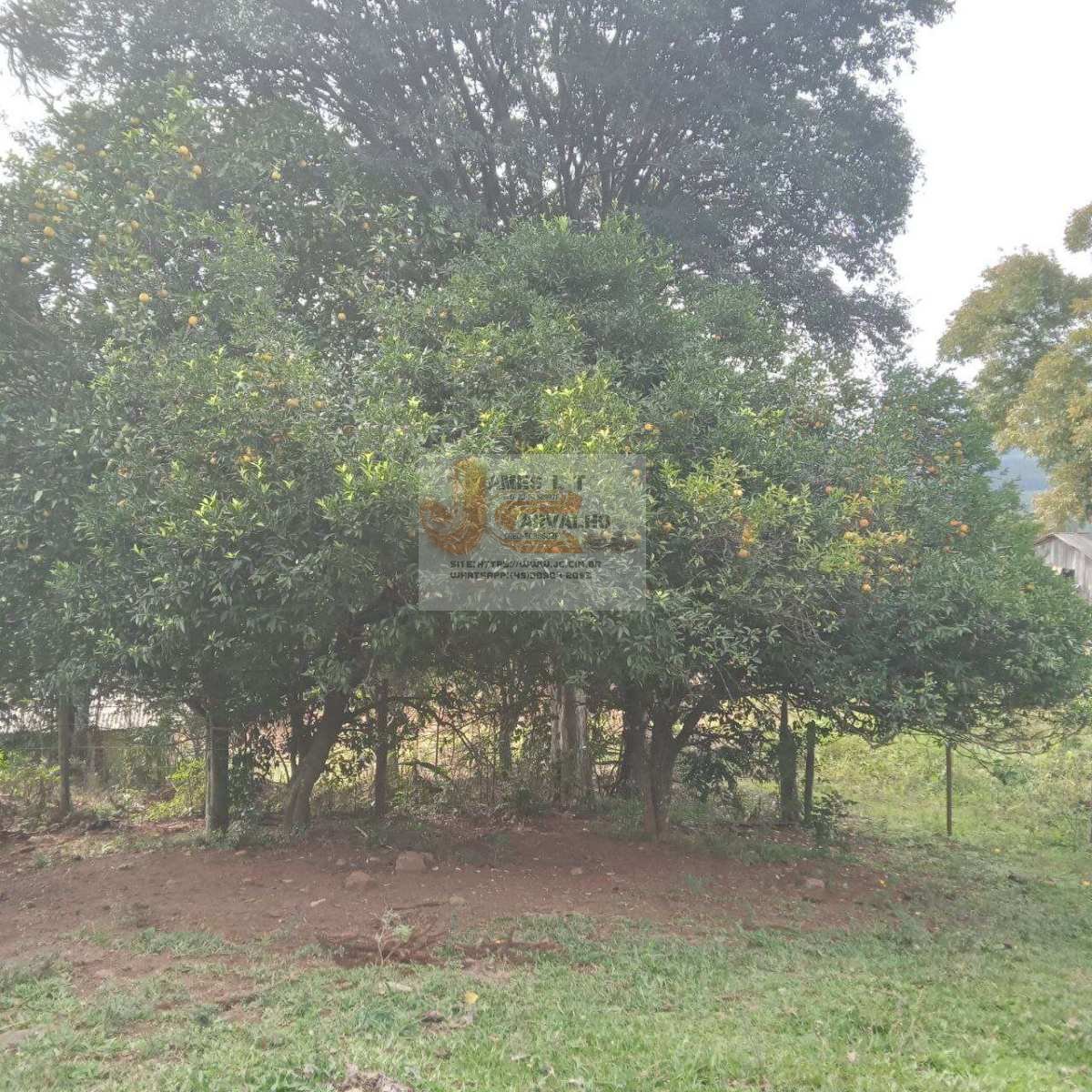 Terreno à venda - Foto 47
