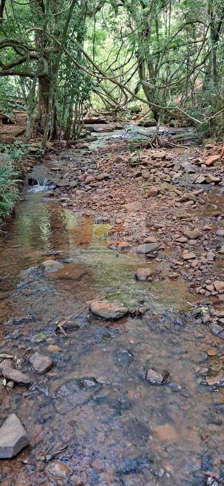 Terreno à venda - Foto 7