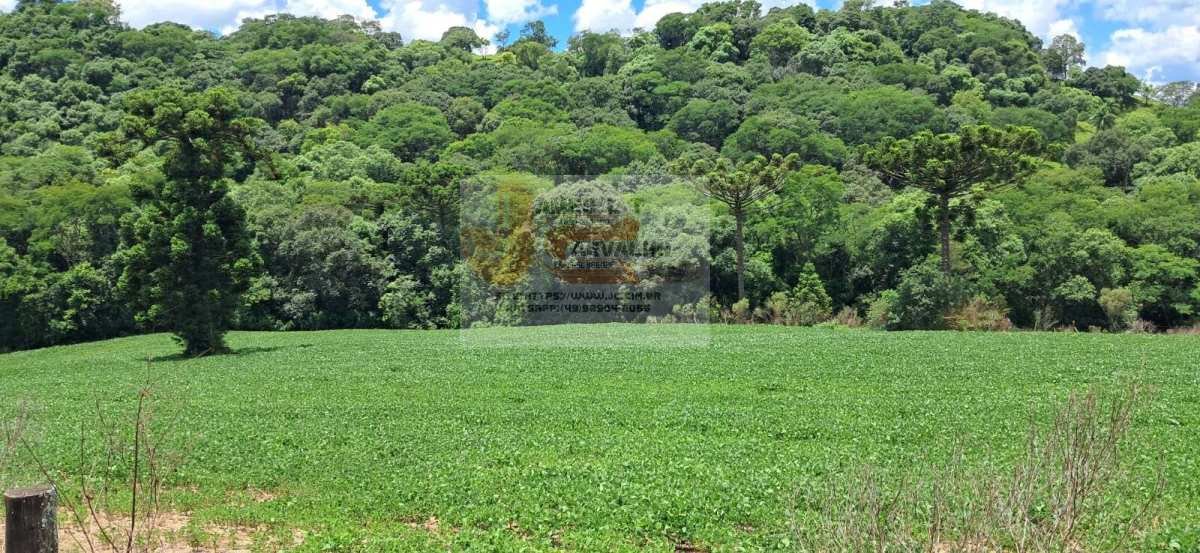 Terreno à venda - Foto 1