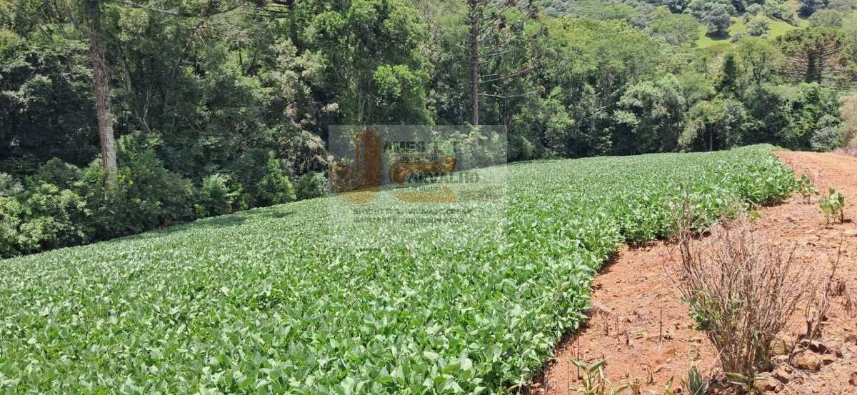 Terreno à venda - Foto 31