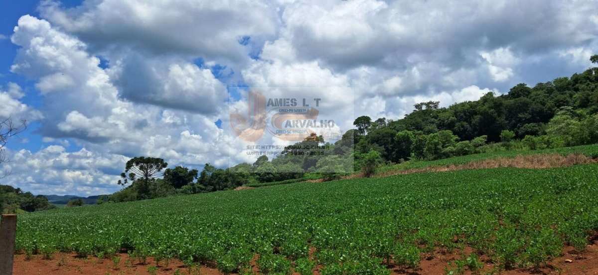 Terreno à venda - Foto 4
