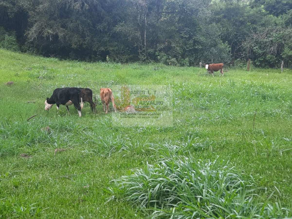 Terreno à venda - Foto 20