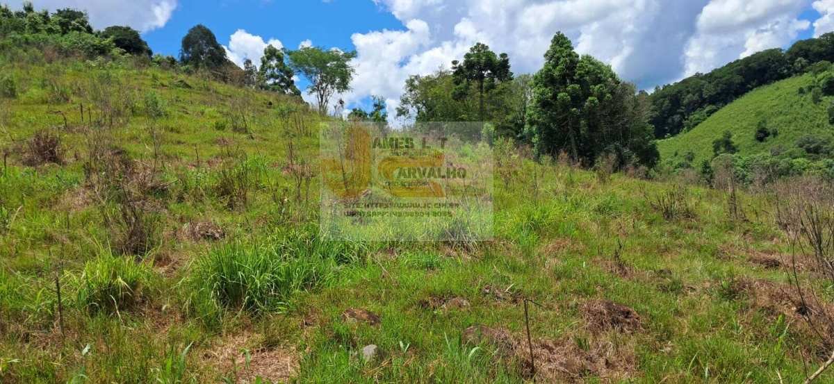Terreno à venda - Foto 8