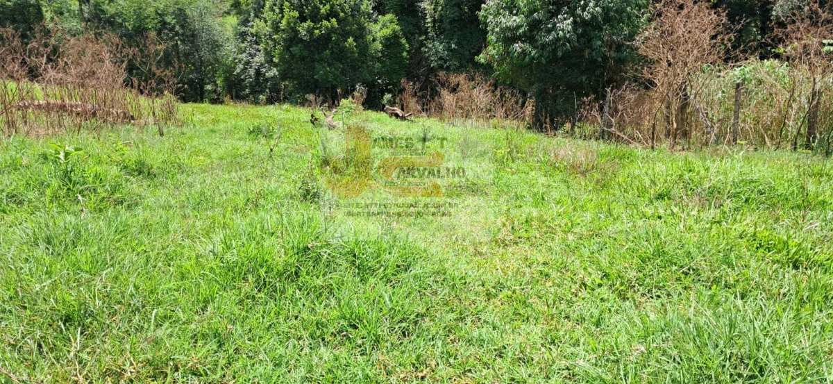 Terreno à venda - Foto 10